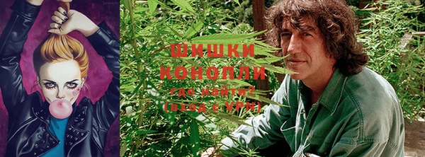 СК Белокуриха