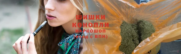 дживик Семилуки