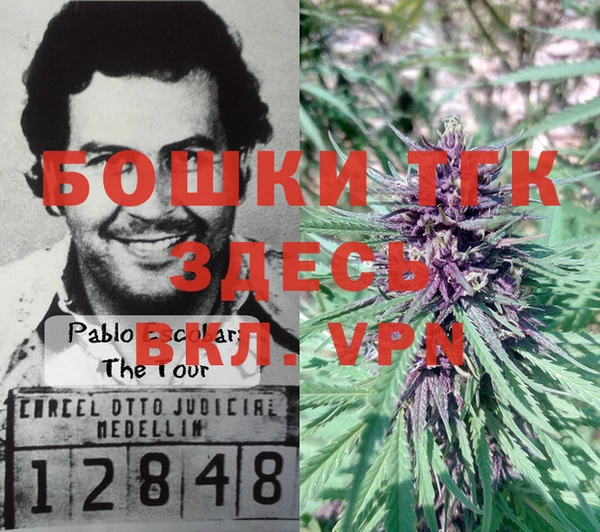 СК Белокуриха
