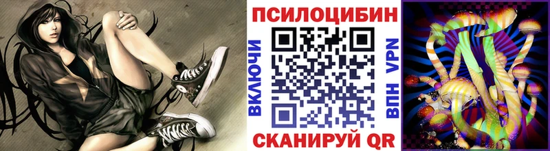 Псилоцибиновые грибы GOLDEN TEACHER  Гудермес 